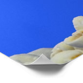 Popcorn Tijd Poster (Hoek)