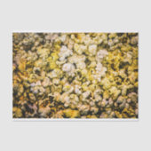 Popcorn Tissuepapier (Voorkant)