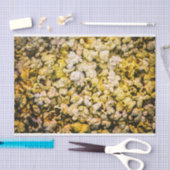 Popcorn Tissuepapier (Craft)