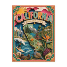 PopCut California Kleurrijke 3D-papierkunst