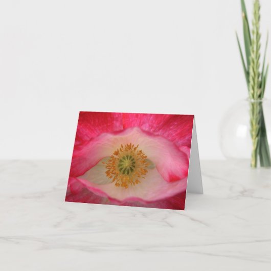 Popeye Kaart (Voorkant)