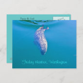 Popeye the Seal Briefkaart (Voorkant / Achterkant)