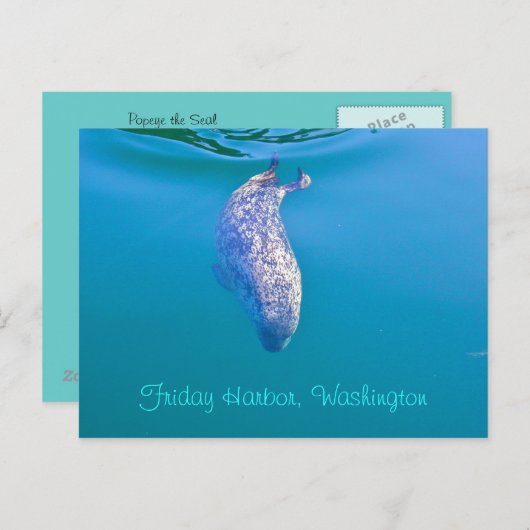 Popeye the Seal Briefkaart (Voorkant / Achterkant)