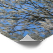 Poplaire boomsneeuw in juni Natuur Poster (Hoek)