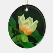 Poplar-boomtulpsierplant Keramisch Ornament (Links)