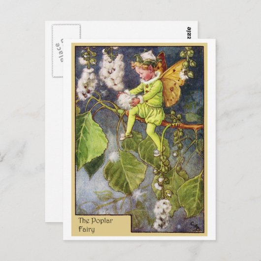 Poplar Fairy Briefkaart (Voorkant / Achterkant)