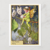 Poplar Fairy Briefkaart (Voorkant)