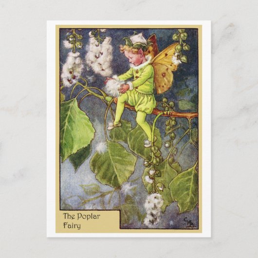 Poplar Fairy Briefkaart (Voorkant)