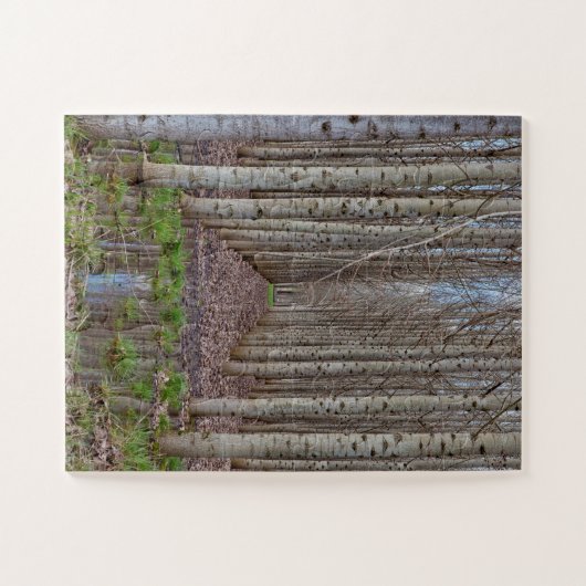 Poplar Grove Legpuzzel (Horizontaal)