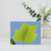 Poplar Tree Leaf Briefkaart (Staand voorkant)
