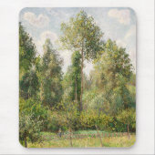 Poplars, Éragny Camille Pissarro Muismat (Voorkant)