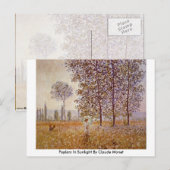 Poplars in Sunlight door Claude Monet Briefkaart (Voorkant / Achterkant)