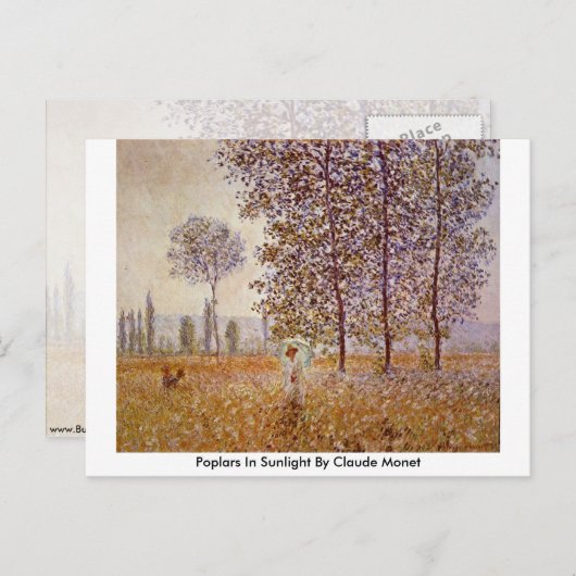 Poplars in Sunlight door Claude Monet Briefkaart (Voorkant / Achterkant)