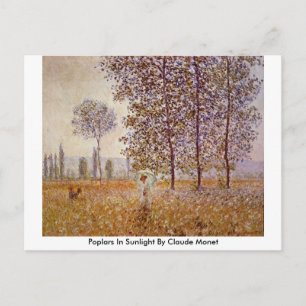 Poplars in Sunlight door Claude Monet Briefkaart
