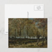 Poplars Near Nuenen van Vincent Van Gogh Briefkaart (Voorkant / Achterkant)