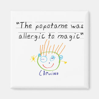 Popotammagneet Magneet