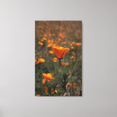 Poppen Canvas Afdruk (Voorkant)