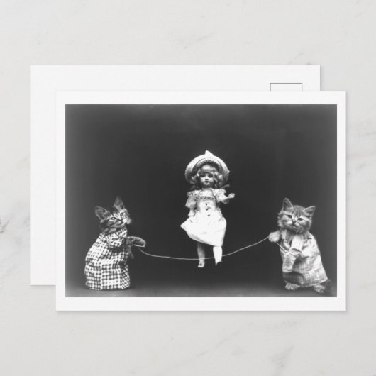  poppen en katten springen touw Oddity Briefkaart (Voorkant / Achterkant)