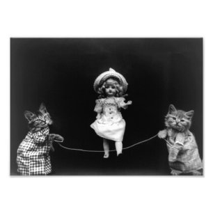 Poppen en Kittens overslaan Foto Afdruk