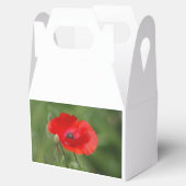 Poppie Bedankdoosjes (Geopend)