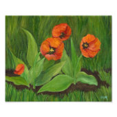 Poppie bloeiende tulpen foto afdruk (Voorkant)