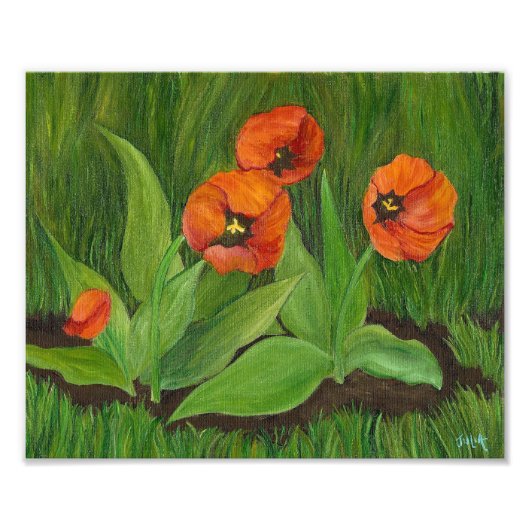 Poppie bloeiende tulpen foto afdruk (Voorkant)