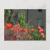Poppie briefkaart (Voorkant)