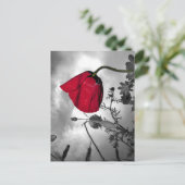 Poppie Briefkaart (Staand voorkant)