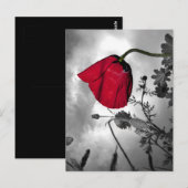 Poppie Briefkaart (Voorkant / Achterkant)