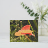 Poppie Briefkaart (Staand voorkant)