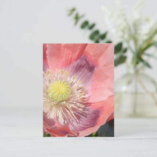 Poppie briefkaart (Staand voorkant)