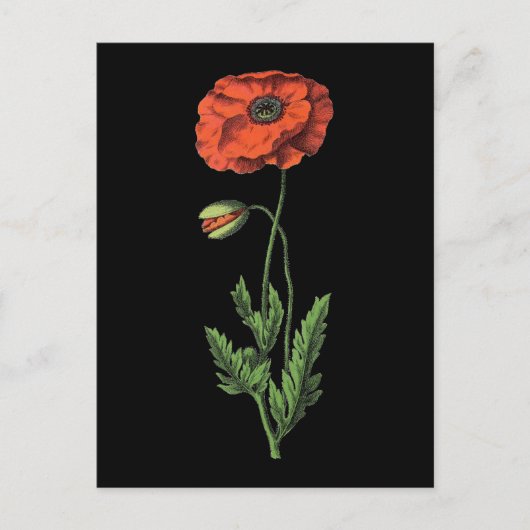 Poppie Briefkaart (Voorkant)