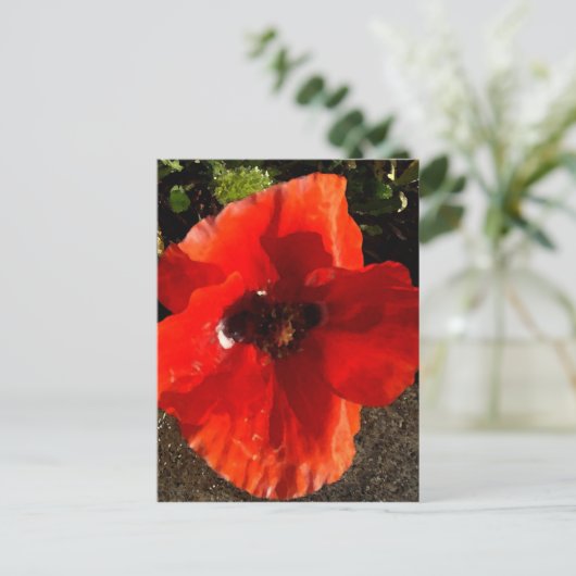 Poppie Briefkaart (Staand voorkant)