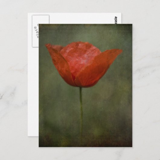 Poppie briefkaart (Voorkant / Achterkant)