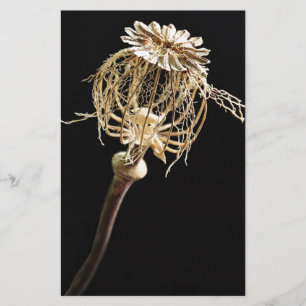 Poppie Briefpapier