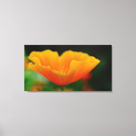Poppie! Canvas Afdruk (Voorkant)