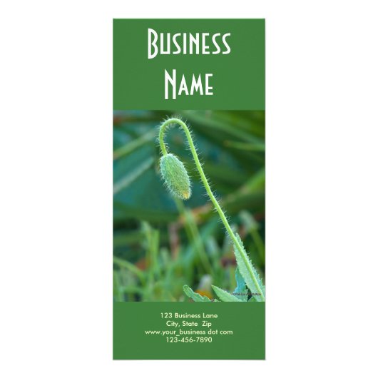 Poppie in uitvoering reclamekaart (Voorkant)