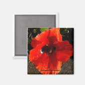 Poppie Magneet (Voorkant / Achterkant)