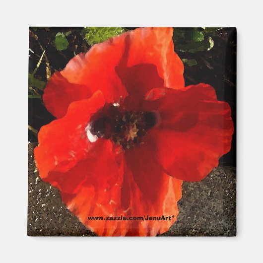 Poppie Magneet (Voorkant)