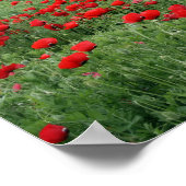 Poppie natuur landschap rode bloemen  poster (Hoek)