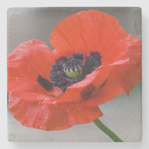 Poppie onderzetter