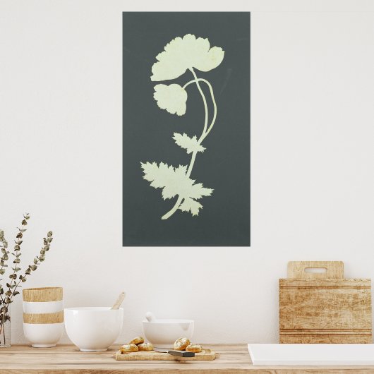 Poppie Poster (Keuken)