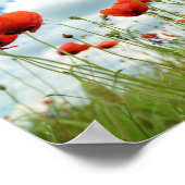 Poppie Poster (Hoek)