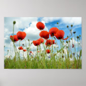 Poppie Poster (Voorkant)
