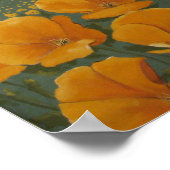 Poppie Poster (Hoek)