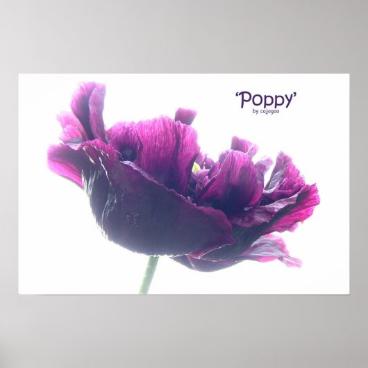 Poppie Poster (Voorkant)