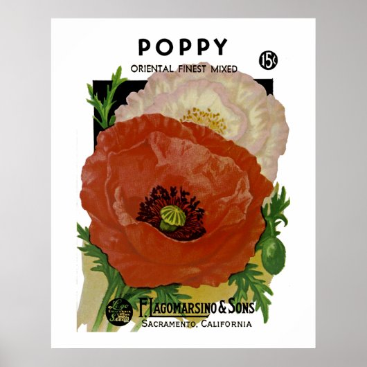 Poppie Poster (Voorkant)