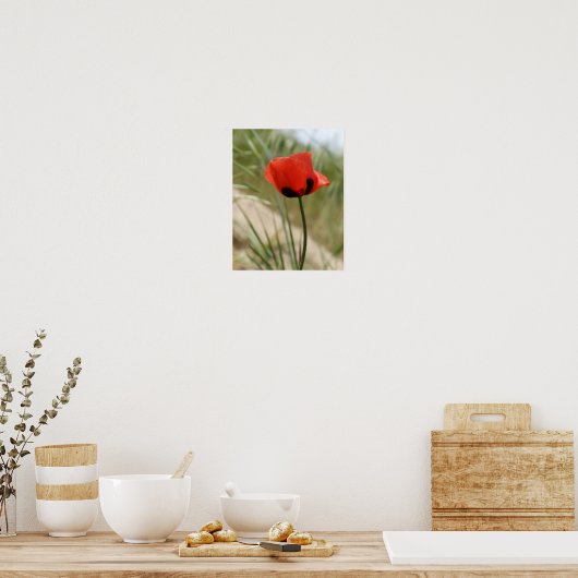 Poppie Poster (Keuken)
