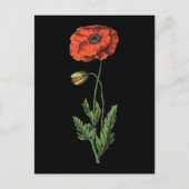 Poppie rode  kunst briefkaart (Voorkant)