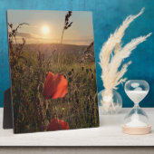 Poppies bij zonsondergang 2. Perranporth, Cornwall Fotoplaat (Zijkant)